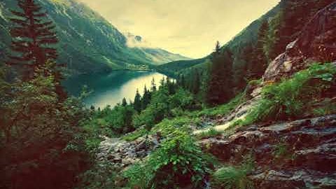 سورة الزخرف - القرآن الكريم -