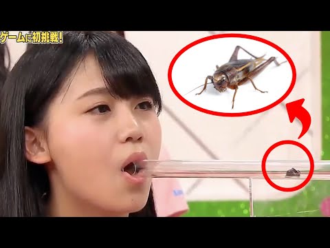 Weirdest Japanese Game Shows Compilation #1