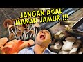 ANDA PENGGEMAR JAMUR ??? WAJIB TAHU JAMUR-JAMUR BERIKUT INI !!!