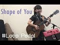 Shape of you ed sheeran cover by gail sophicha loop pedal