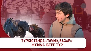 Түркістанда «Тауық базары» жұмыс істеп тұр