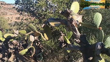 الله ما اجمل الطبيعة مع القرآن الكريم