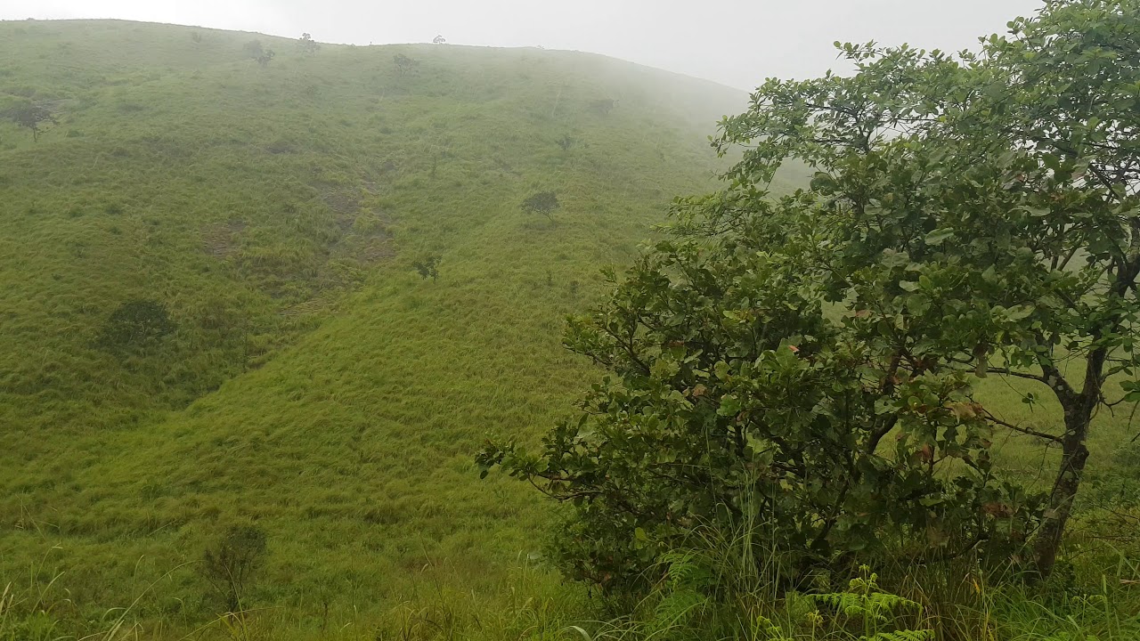 Vagamon Ulupunni Diaries with Greenhill Resort