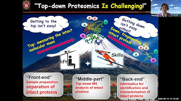 Novel Strategies in Top-down Proteomics for Precision Medicine