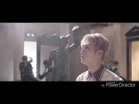BTS- Blood Sweat & Tears MV Jin Cut