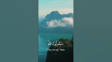قران كريم القارى ياسر الدوسري تلاوه خاشعه