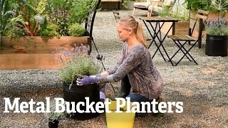 Metal Bucket Planters