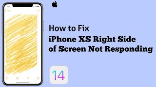 iPhone X, XS, XS Max Right Side of Screen Not Responding in iOS 14.4 [Fixed]