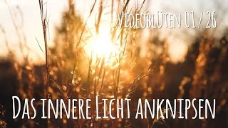 Switch on your inner light – flower essences in the dark season