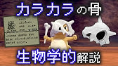 ポケモン都市伝説 カラカラの母親ガルーラ説 ガラガラとガルーラの見た目の共通点やsmの図鑑番号の順番に秘密がある ポケモン考察 Youtube