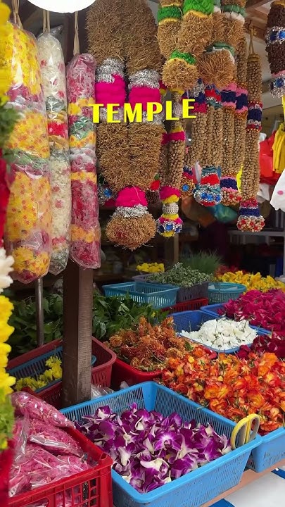 vegetarian-food-options-in-singapore-youtube