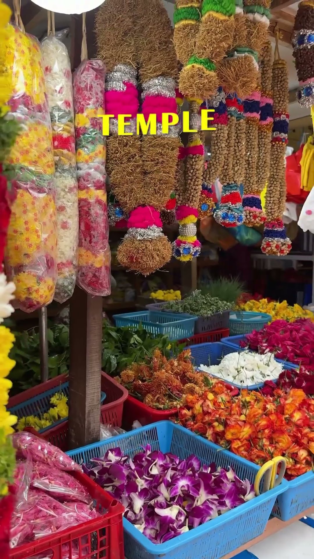 Vegetarian Food Options In Singapore YouTube Vegetarian Food Options In Singapore YouTube