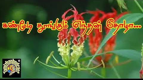 கண்மூடி தூங்கும் எந்தன் தோழா... | தமிழ்தேசிய பாடல்