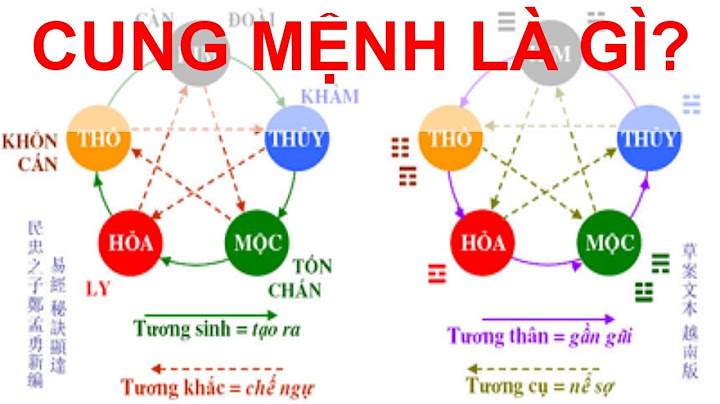 Cung sinh sinh còn được gọi là gì năm 2024