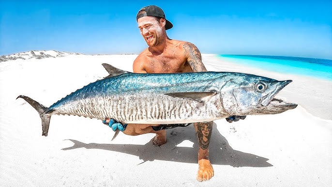 Giant Mahi Mahi Fish Catch And Cook 