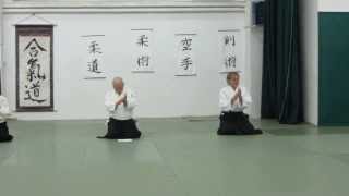 Aikido, ekzamin na 2 dan 2013, 3