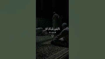 قل إن كنتم تحبون الله فاتبعوني يحببكم الله ويغفر لكم ذنوبكم والله | الآية 31 من سورة آل عمران
