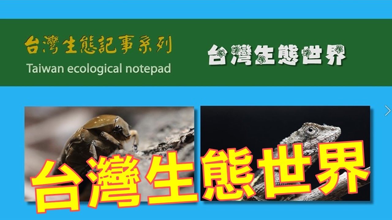 台灣生態世界-台灣生態記事系列01