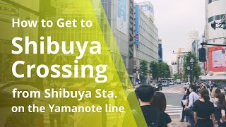 How to get to Shibuya Crossing from Shibuya Station on the Yamanote line