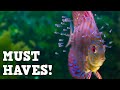 10 Must Have Aquarium Products You Should Buy Off Amazon