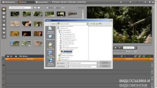 Pinnacle Studio 15. Как в проект добавить видеоматериал.