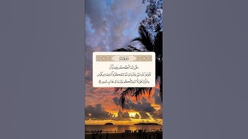 #حمزة_بوديب #دعاء #دعاء_مستجاب #دعاء_حمزة_بوديب #القارئ_حمزة_بوديب #اكسبلور #دويتو #فعل_الجرس #لايك