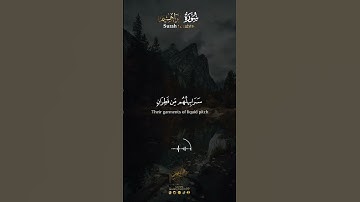 - تلاوة خاشعة للقارئ احمد السعيد من سورة ابراهيم ( يَوْمَ تُبَدَّلُ الْأَرْضُ غَيْرَ الْأَرْضِ )