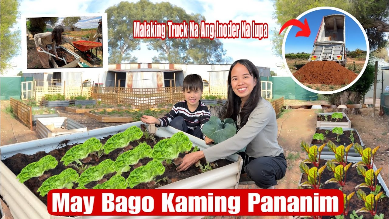 May Bago kaming Set Up Na Pananim Sa Aming Backyard|Marami Ng Gulay