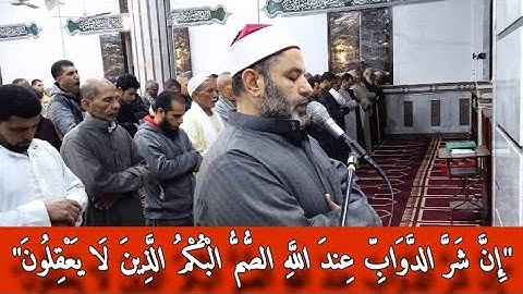 صلاة التراويح من المسجد الكبير بطليمة.. تلاوة مباركة من سورة الأنفال ..الشيخ/أحمد شعبان حجازى