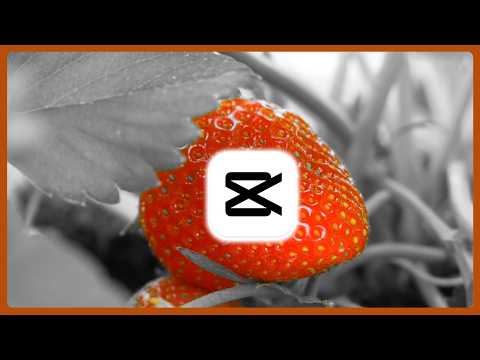How to Create a Selective Color Effect in CapCut PC | Simple Method