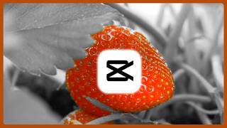 How to Create a Selective Color Effect in CapCut PC | Simple Method