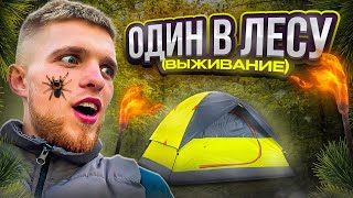 ВЫЖИВАНИЕ | ФИНАЛ