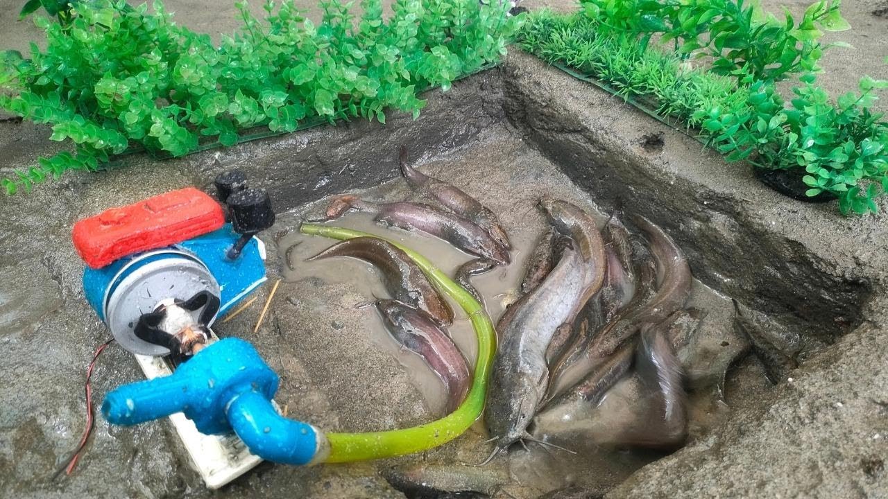Catching Many Fish From Field Using Mini Water Pump - Fishing Exciting ...