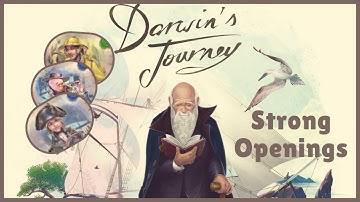 How to play the first rounds | Darwin