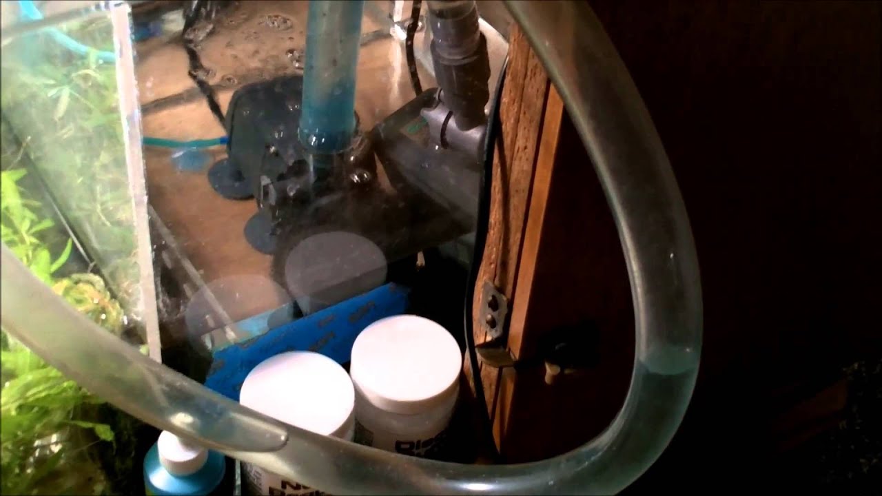 discus fish tank size Discus Tank Pump and Flow Rate Question