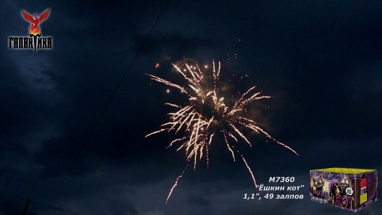 Salute syl cover. Варяг урал салют. Батарея салютов русский салют бам бум рк7112. Батарея салютов мегапир огненное конфетти мб150. Салют ешкин кот.