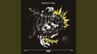アネモネ / コドモドラゴンの歌詞（NEPENTHES.収録） |『ROCK