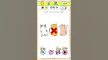 Find The Right Cat - Level 29 #braintestgame #braintest