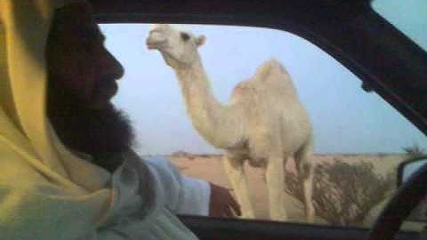 دحيم الحماد من أذكار المساء برنية ١٤٣٢ ه