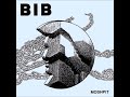 Bib  moshpit full album