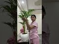 Day in my life 🎥planting day🌱🌵✨ #dailyshorts #dayinmylife #minivlog #planting #indoorplants
