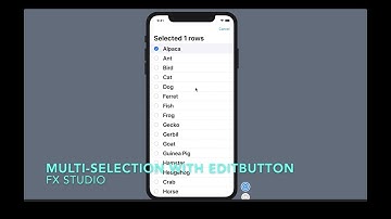 Multiple Selection with EditMode & EditButton | SwiftUI | Working with List