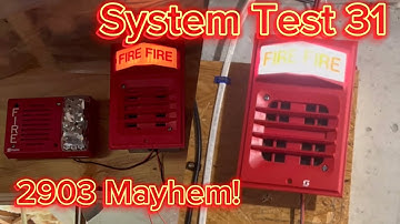 System Test 31: 2903s!