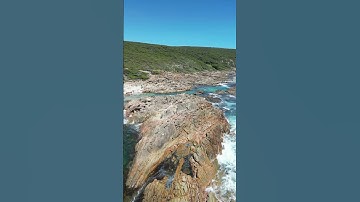 6 lý do kỳ diệu bạn nên ăn khoai lang mỗi ngày