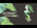 Miniature de la vidéo de la chanson The Stranger (Proleter Remix)