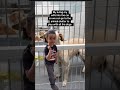 #funny #funnyvideos #couples #comedyvideos #animalshelter #dogs