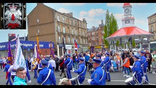 Bridgeton Loyalists Band Parade 2024