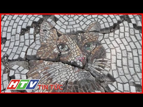 NGHỆ SĨ MỸ VÁ Ổ GÀ THÀNH TÁC PHẨM TRANH MOSAIC | HTV TIN TỨC