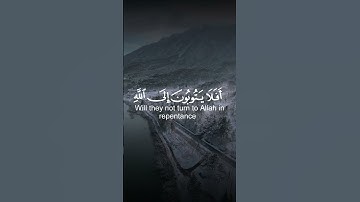 تلاوة من سورة المائدة 🌿القارئ عبد الرحمن مسعد 🌿