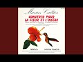 Capture de la vidéo Concerto Pour La Fleur Et L'oiseau